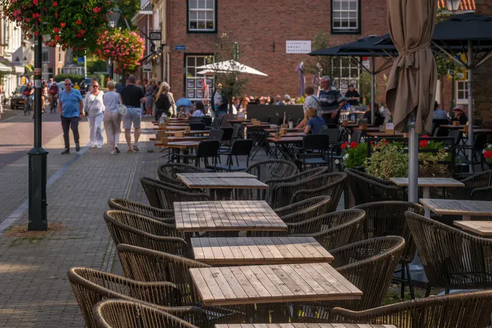 Your Local Mold Remediation Experts in Palmer Heights, PA — Palmer Heights, PA